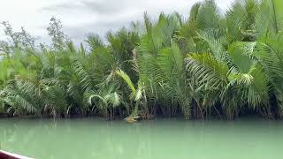 Loboc River- Bohol