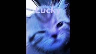 Lucku Twice - Lucky (Speed up)