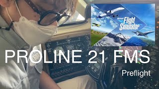 Proline 21 FMS Preflight