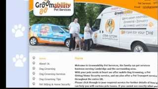 Dog Sitting & Pet Transport Services In Cambridge Area, UK