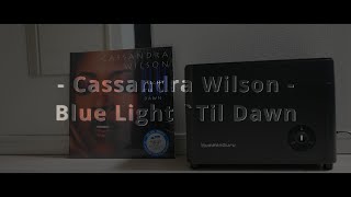 Cassandra Wilson - Blue Light 'Til Dawn