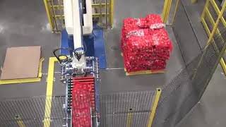 Onion 1 in 2 out floor Palletizing | FUJI ROBOTICS INDIA | #roboticpalletizer #fujirobotics