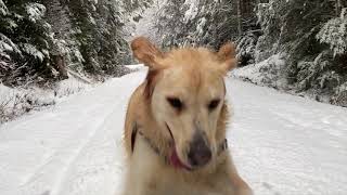 Salmon Ridge Snow Park 1/30/2021