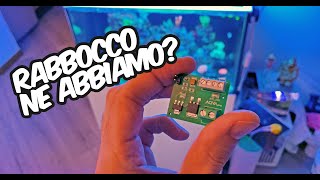 Facciamo un NanoReef - EP08