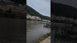 Walk along the Neckar river in Heidelberg. Germany. State of Baden Württemberg. #nature #travel