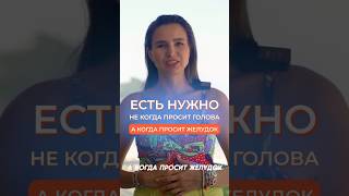 КОГДА НУЖНО ЕСТЬ? #питание #зож #здоровье