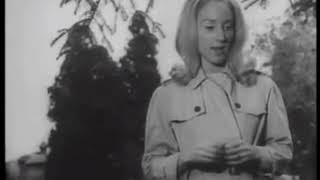 A scary Movie Clip From "Night of the living dead"  Hollywoodwink