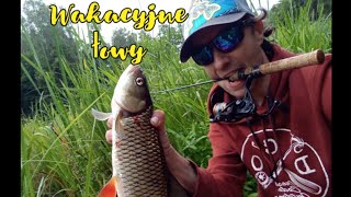 Wakacyjne biwakowe łowy 🎣 w Borach Tucholskich @DCOFishing