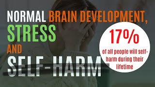 Normal brain development, stress and self harm