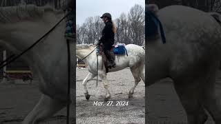 Horse back riding