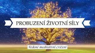 Probuzení životní síly | vedené meditativní cvičení