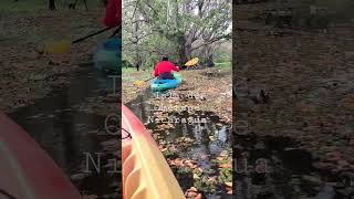 Kayaking Rio Istian in Ometepe, Nicagua