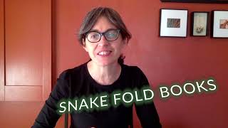 Snake Fold Book with Becky Johnston - Art in Action