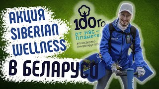 Siberian Wellness, Сибирское Здоровье в Беларуси. Высадка деревьев 100 Га от нас планете