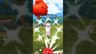 Catching Shiny Absol in Pokémon GO! #pokemon #pokemongo #shinypokemon #pokemontcg