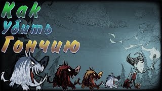 Как убить Гончию в Don't Starve