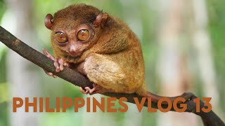 Tarsier Sanctuary Bohol & Butterfly Habitat Philippines