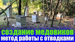 Как я работаю с отводками пчел на главном взятке