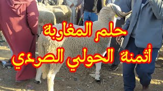 سوق الفقيه بن صالح للحولي الصردي يخلق الجدل من جديد 15/05/2024