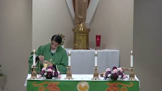 Fifth Sunday in Ordinary Time - (Sat. 5 pm) (LIVE) -  Feb. 4, 2024