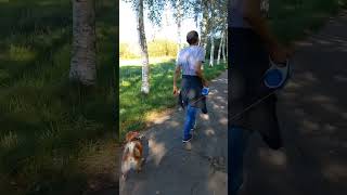 Akhil with cute dog Jenny Germany 2022 | Akhil Mishra