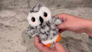 Why My Cats LOVE the Potaroma Flapping Owl Toy