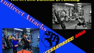 Boxing Feinting Drills -  How to Feint With Your Jab