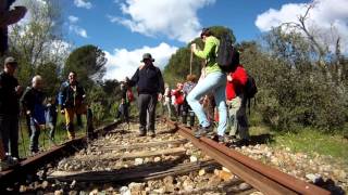 De Cerro Muriano a Córdoba: por la Vereda de la Armenta y caminos 51 y 48