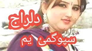 dilraj 2020 pashto song دلراج خکلي سندره | Ashna spena spogmai ym taza da gull ghotai ym