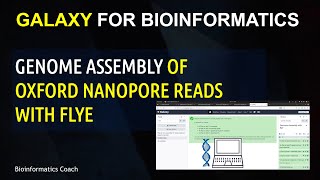 How to Run Flye on Galaxy for Assembling Oxford Nanopore Reads