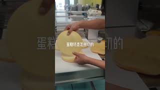 Automatic Horizontal Cake Layer Slicer