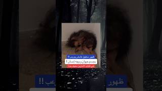 ظهور مسخ👺😰 غريب في قرية قرب الأمازون 🔞