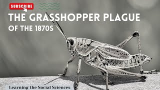 Grasshopper Plague of the 1870s: When 12.5 Trillion Rocky Mountain Locust Invaded the Midwest