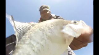 Simple Crappie Fishing setups that work on tough days using #Garmin Live Scope!