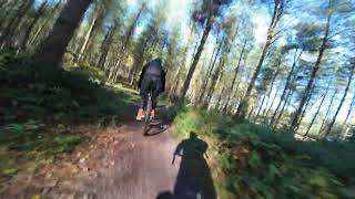 Chasing The Gravel on Cannock Chase