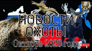 Новости охоты за октябрь 2020 года