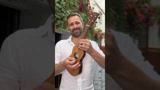 Hotel California - But it’s Ukulele! #shorts #hotelcalifornia #ukulele