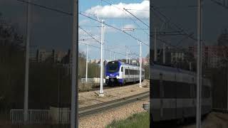 (243s) Flirt Stadler polish #passengertrain