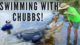 Swimming with a GIANT ALLIGATOR in Florida! | Primitive Predators