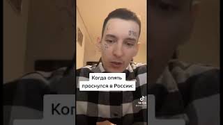 кизару топ