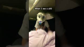 LEAVE ME ALONE😭 #furry#antizoo#therian#alterhuman#comedy#shorts