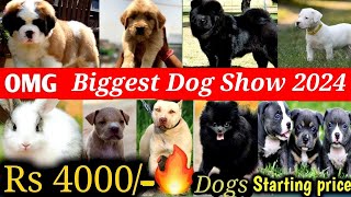 Biggest Dog show of 2024 😱| Exotic Dog Breeds , German Shepherd,  Pitbull,  Rottweiler