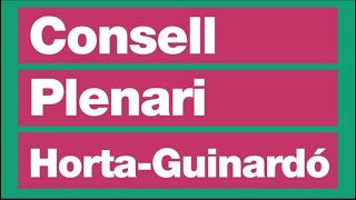 Ricard Farin: "Necessitem un govern que governi i amb un projecte clar per la ciutat".