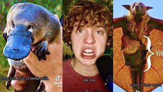 Dirty animal facts that biology class definitely did not teach you | Hot TikTok 2022