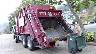 Pak Mor Rear Loader Collecting Food Waste