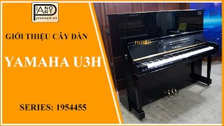 Đàn Yamaha U3H nổi tiếng với độ bền cao, có thể sử dụng nhiều năm mà không giảm đi chất lượng1954455