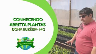 Conhecendo Abritta Plantas, Dona Euzébia - MG