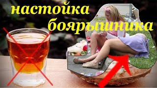 Иркутский боярышник и рекция Медведева!