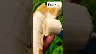 Fruit Farming & Fruit Cutting 🍌🍎🍋🍓 #banana #fruitcutting #organic #fruitharvest @Food-home14G