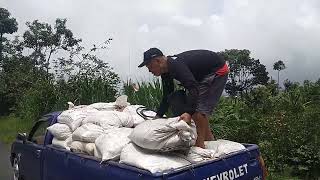 Kirim pupuk kotoran pullet ke kintamani